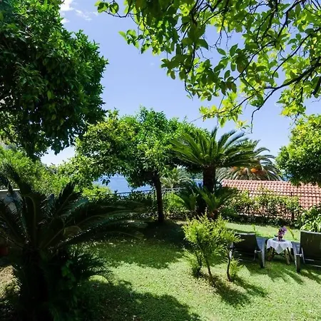 Apartamento Stanka *